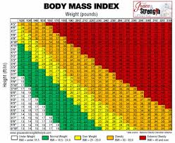 Overweight Chart Men Man Body Fat Percentage