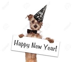 Wish the biggest slice of happiness and good luck this new year! 36 744 Happy New Year Dog Stock Photos And Images 123rf