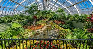Insider S Guide To Phipps Conservatory