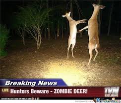 Deer Memes. Best Collection of Funny Deer Pictures via Relatably.com