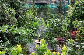 Rated 4.20/5 ( based on 535 reviews ). Kuala Lumpur Butterfly Park Butterfly Park Kuala Lumpur Trip Advisor