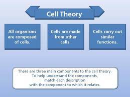 it s all about cell theory texas gateway