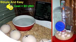 diy hatching egg incubator simple and