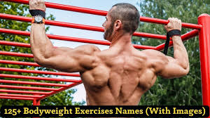 125 top bodyweight exercises names