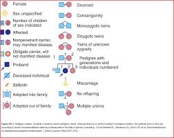 Medical Charting Symbols Symbols Commonly Used In Pedigree