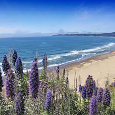 11 best beaches in california from