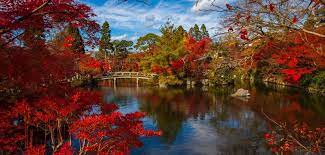 20 Of The Best Japanese Gardens In The