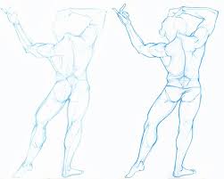 Back muscle imbalances can cause poor posture. Male Back Torso Drawing Reference And Sketches For Artists