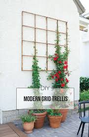 Modern Grid Trellis From Garden Stakes