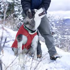 Details About Kurgo Loft Dog Jacket And Reversible Dog Coat Red Dark Charcoal Grey Large