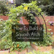 How To Build A Squash Arch Homestead
