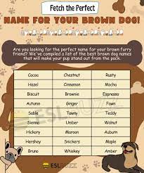 brown dog names the ultimate list for