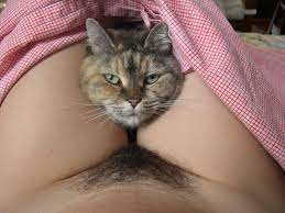 Cat bush nude ❤️ Best adult photos at hentainudes.com