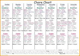 Chore Chart For Weekly Ideas Adults Newscellar Info