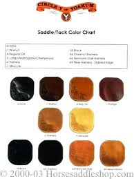 What Color Is Saddle Dolphinemulatorapk