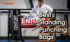 12 best standing punching bags