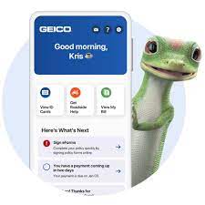 Does Geico Have Insurance Agents gambar png