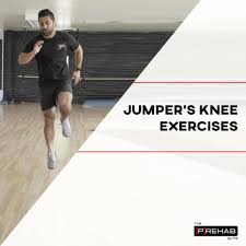 jumper s knee exercises p rehab