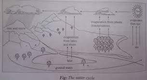 notes on water pollution and greenhouse effects global warming fig water cycle