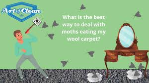 moths eating my wool carpet