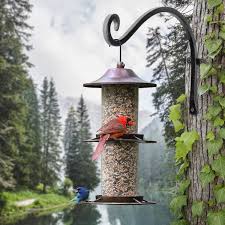 Plant Hooks For Hanging Flower Baskets