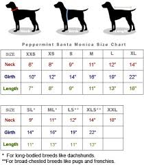 Dog Clothes Zack And Zoey Dog Clothes Size Chart