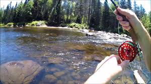 Adirondack Fly Fishing June 2017 West Branch Au Sable River