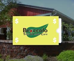 Gift Card Broccolo Tree Lawn Care
