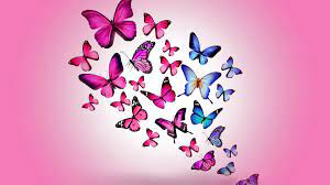 Liquid Neon Butterfly Wallpapers on ...