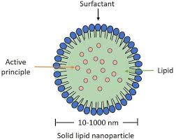 solid lipid nanoparticles sln