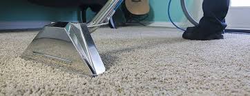 why you should always clean your carpet