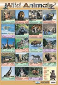 Wild Animals Educational Poster Chart