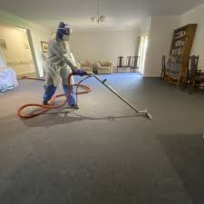 the best 10 carpet cleaning near st