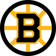 Boston Bruins Standings gambar png