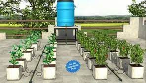 Lldpe Black Drip Irrigation Kit Terrace