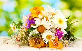 flower bouquet wallpapers top free