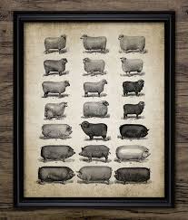 Sheep And Pig Breed Wall Art Printable