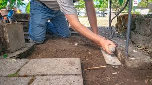 How To Remove Tree Roots Under Pavers