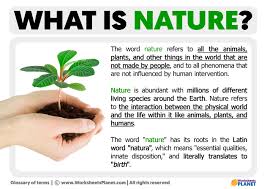 what is nature definition of nature