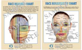 Face Reading Face Reflexology Charts Digital