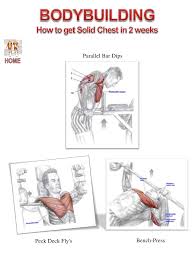 Muscle Diagram Website 2