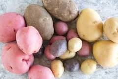 Are potatoes low FODMAP?