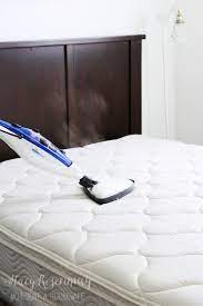 steam clean your mattress stacy risenmay