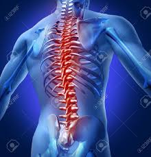 Besides arm anatomy, we'll also teach you about some common conditions that can affect the arm the arms are the upper limbs of the body. Human Backache And Back Pain With An Upper Torso Body Skeleton Stock Photo Picture And Royalty Free Image Image 12353993