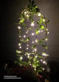 Use Fairy Lights In A Container Garden