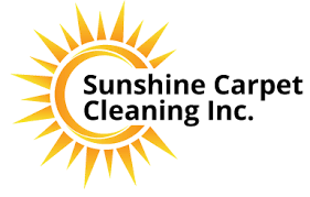carpet cleaning port st lucie cleaner