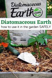 using diatomaceous earth in the garden