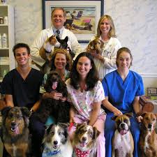 veterinarians in palm beach gardens