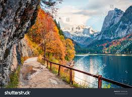 Splendid Autumn Scene Vorderer Gosausee Lake Stock Photo 765947206 |  Shutterstock