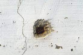 holes in my concrete floor